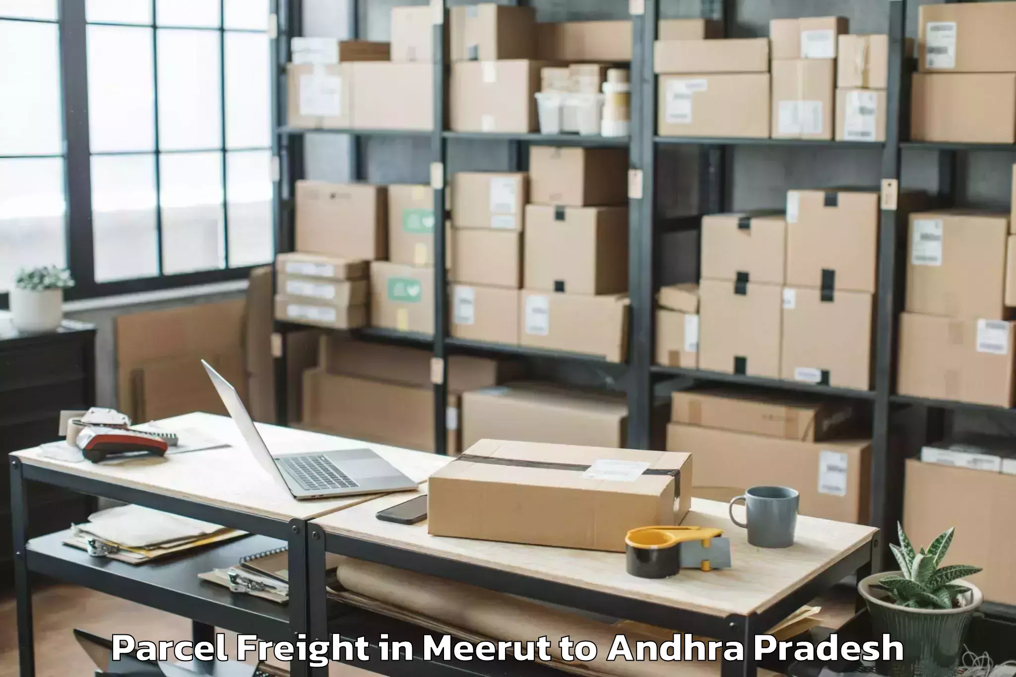 Leading Meerut to Ojili Parcel Freight Provider